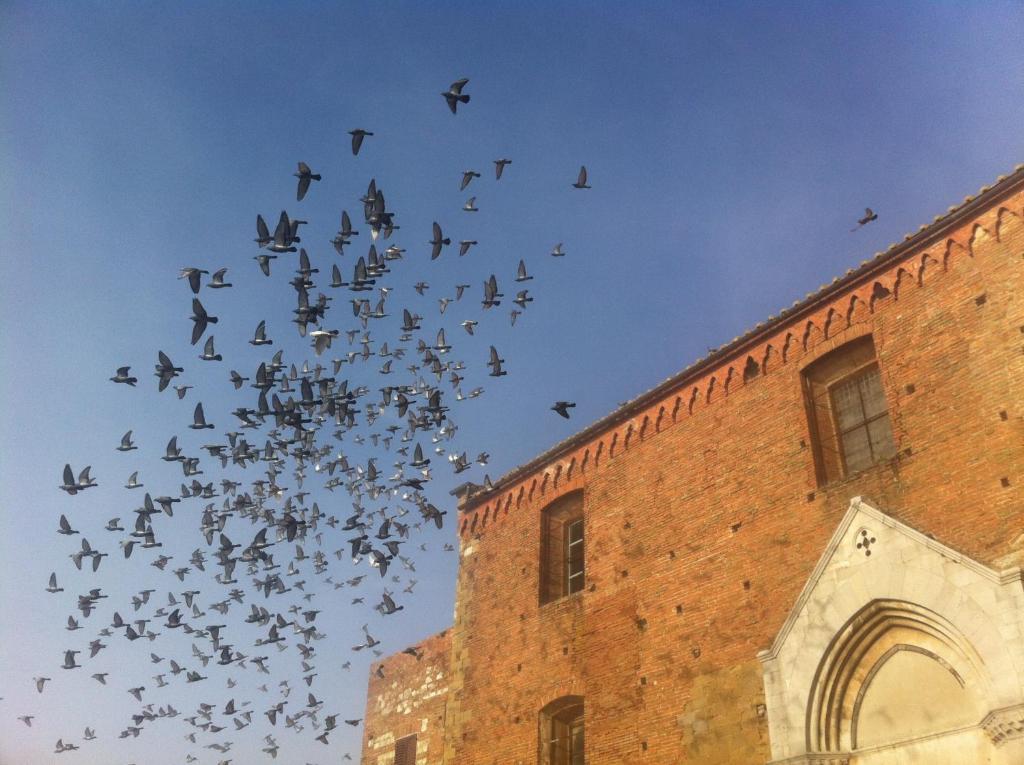 La Locanda Di San Francesco Montepulciano Stazione Zimmer foto